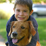 Little boy poses with brown dog for portrait in the park on a sunny day.